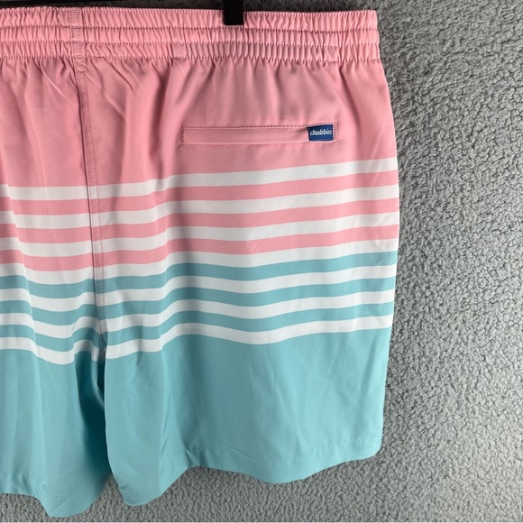 Men's Chubbies Mens 3XL Pink & Blue Classic Lined Striped 5.5 in. Swim Trunk - Picture 12 of 14